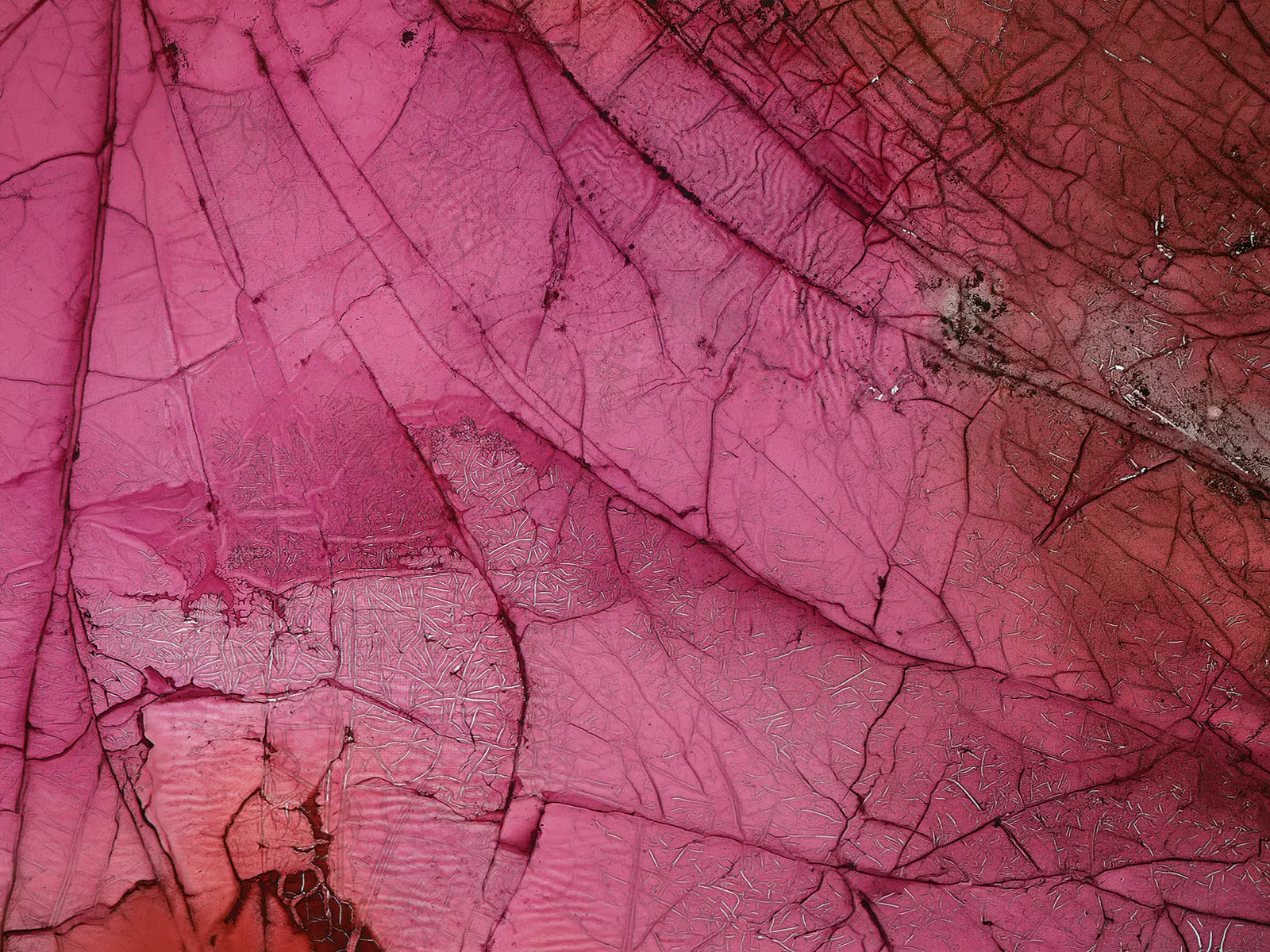 Manuale di rabbia controllata