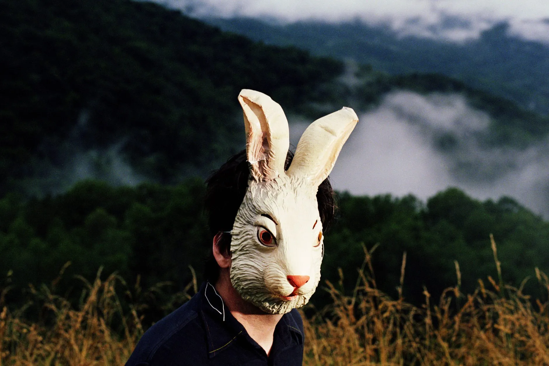 Mark Linkous rabbit mask