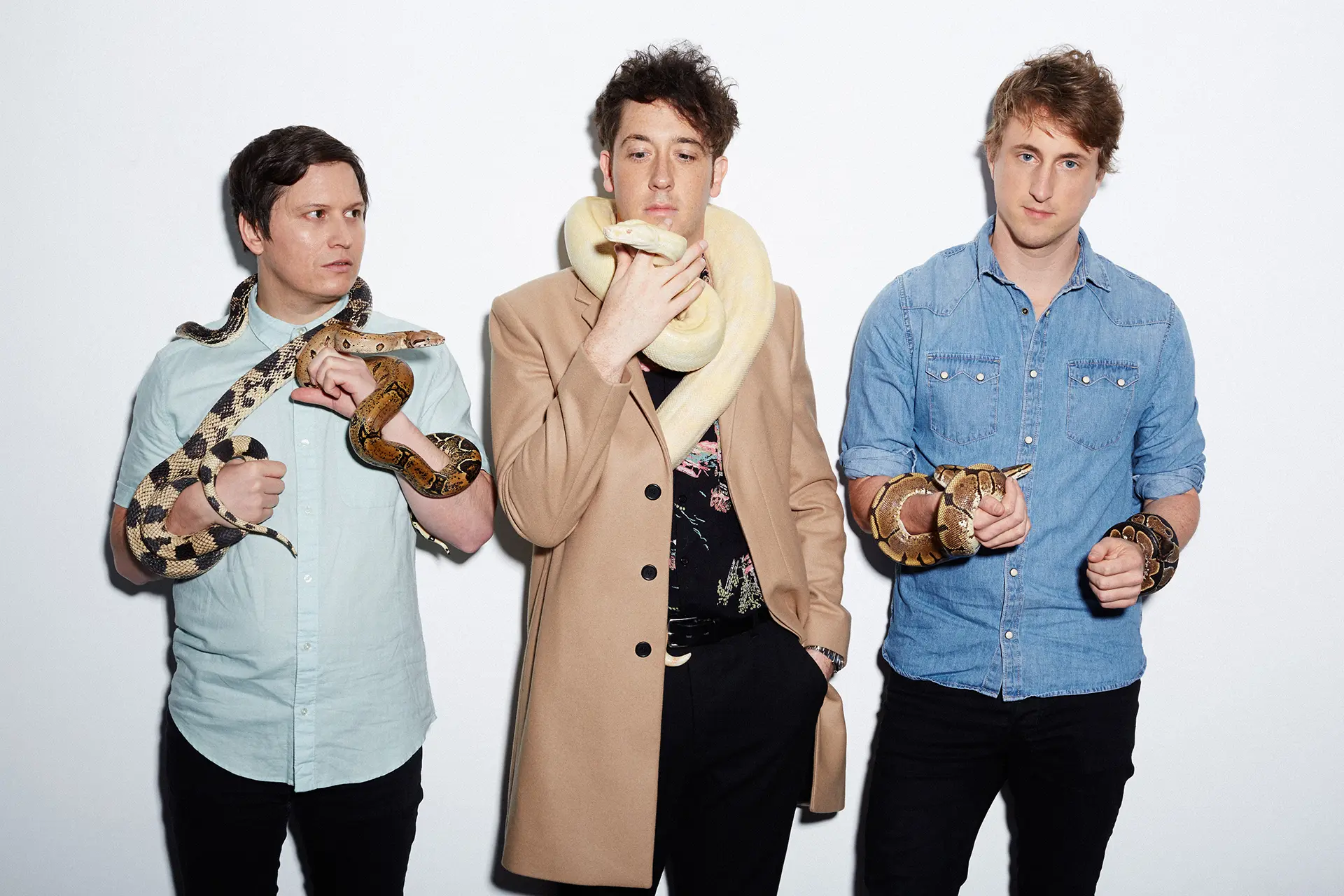 The Wombats with snakes